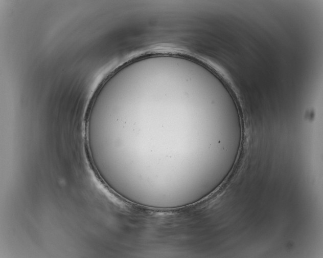 X0000115001335200911091350