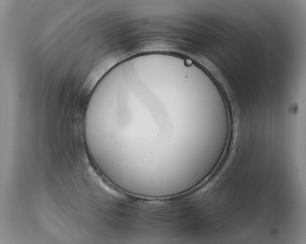 X0000115001337200911091350