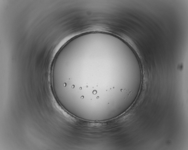 X0000115001339200911091350