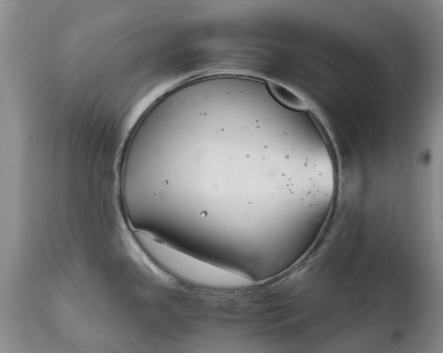 X0000115001341200911091350