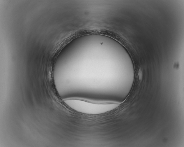 X0000115001348200911091349