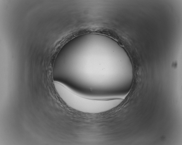 X0000115001349200911091349