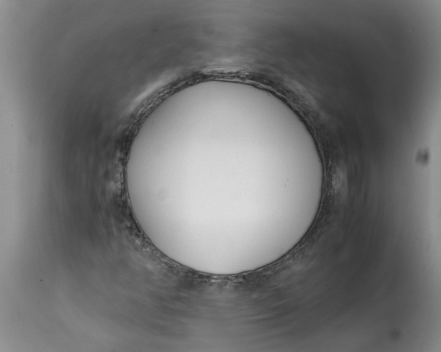 X0000115001350200911091349