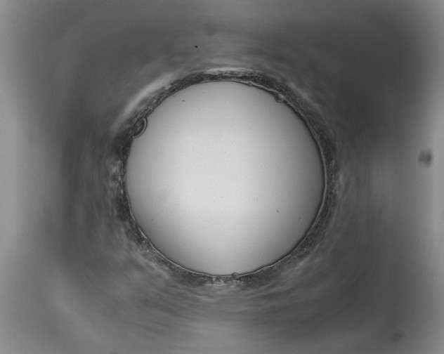 X0000115001351200911091349