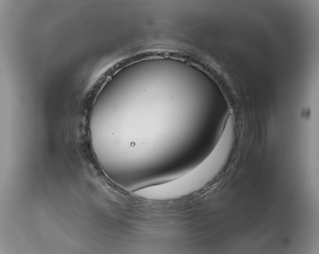 X0000115001352200911091349
