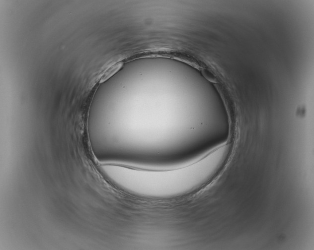 X0000115001353200911091349