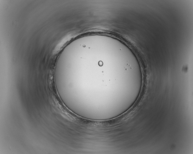 X0000115001355200911091349