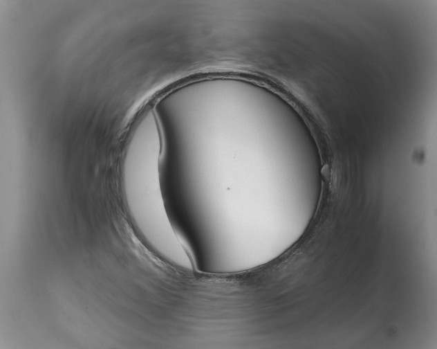 X0000115001356200911091349
