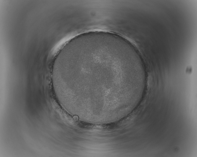 X0000115001359200911091349