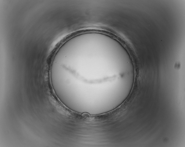X0000115001360200911091349
