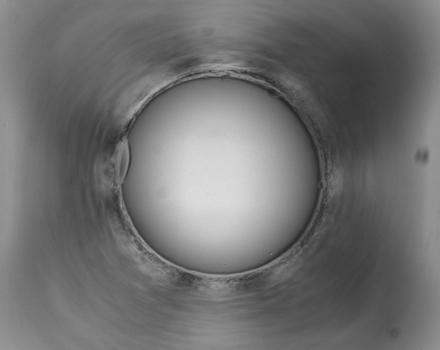 X0000115001361200911091349