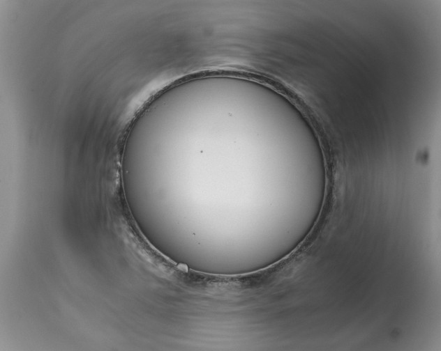 X0000115001363200911091348