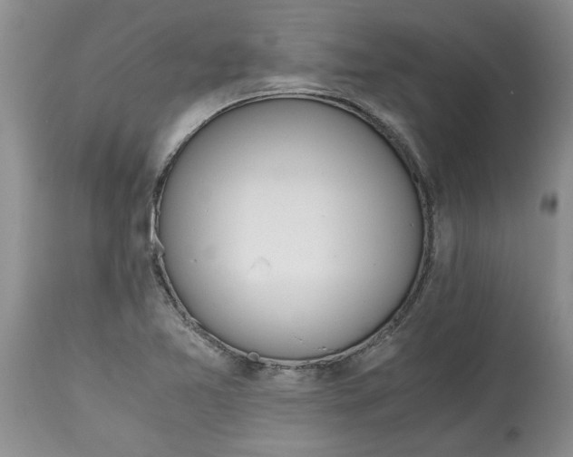 X0000115001365200911091348