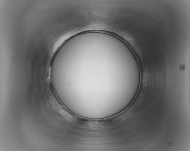 X0000115001366200911091348
