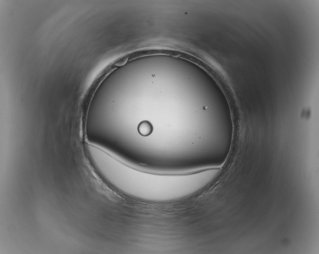 X0000115001368200911091348