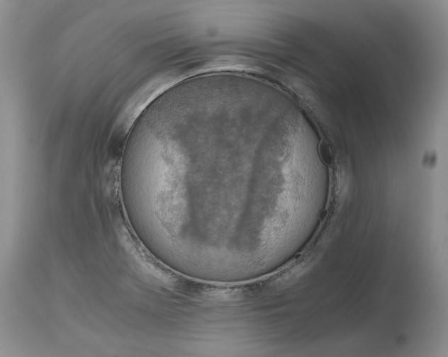 X0000115001369200911091348