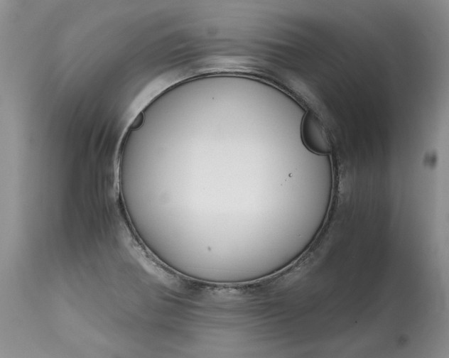 X0000115001370200911091348