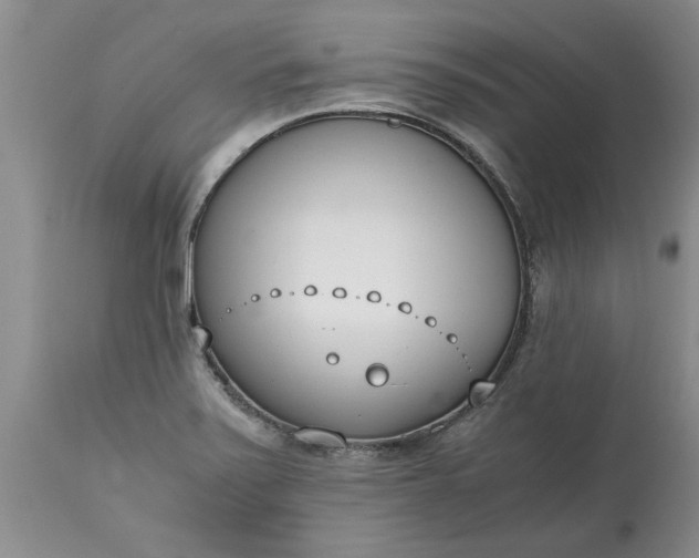 X0000115001371200911091348