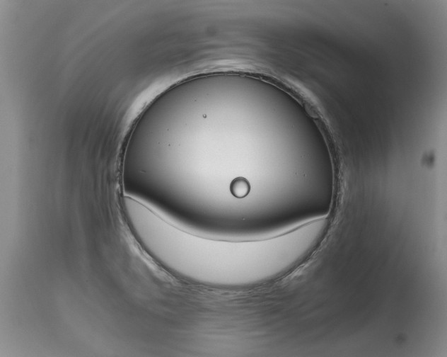 X0000115001373200911091348