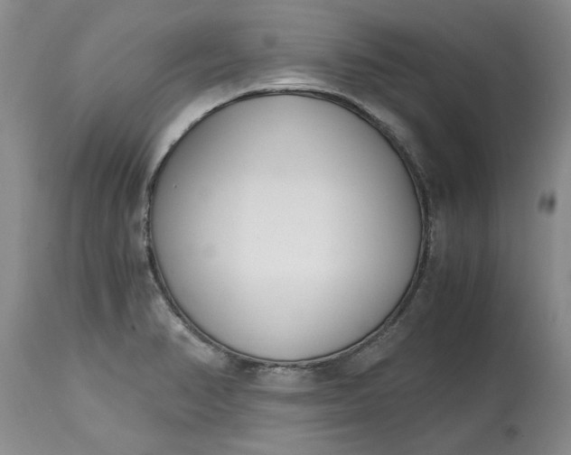 X0000115001374200911091348