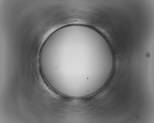 X0000115001375200911091348