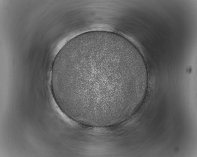 X0000115001383200911091348