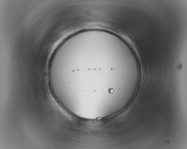 X0000115001384200911091348