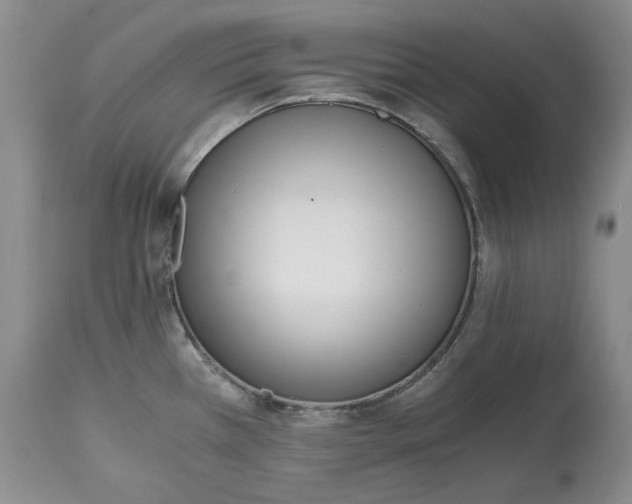 X0000115001385200911091348
