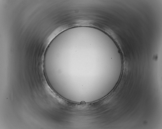 X0000115001386200911091348