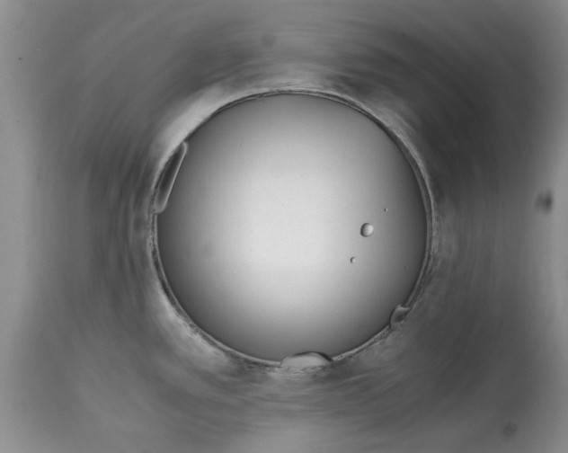 X0000115001389200911091348