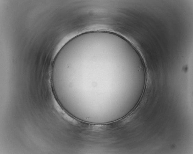 X0000115001390200911091348