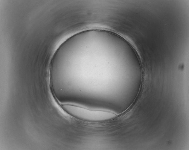X0000115001391200911091348