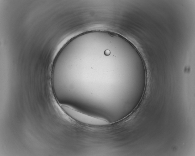 X0000115001392200911091348