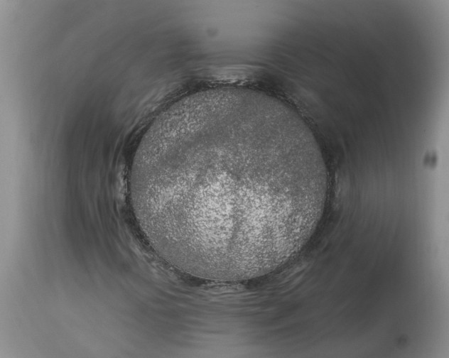 X0000115001394200911091347