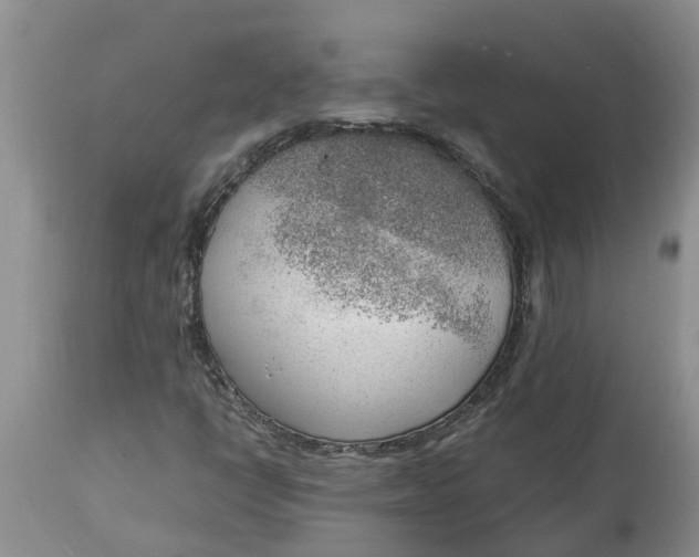 X0000115001398200911091347