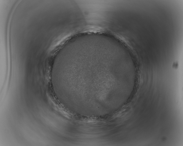 X0000115001399200911091347