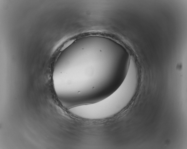 X0000115001400200911091347