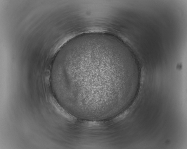 X0000115001401200911091347