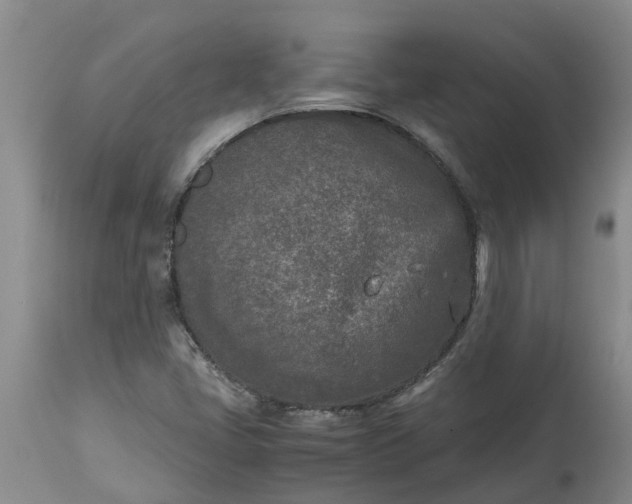 X0000115001405200911091347