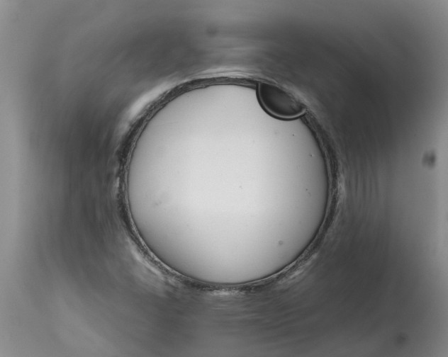 X0000115001406200911091347