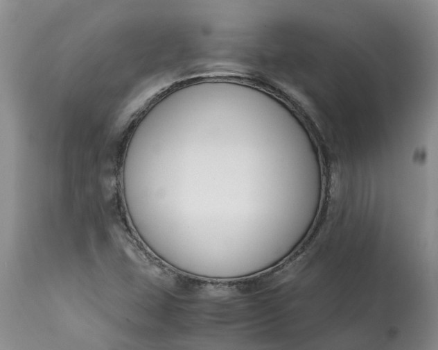 X0000115001407200911091347