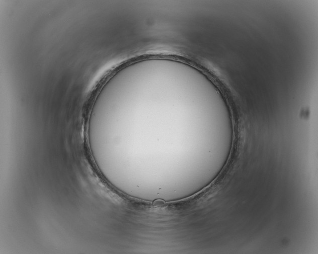 X0000115001408200911091347