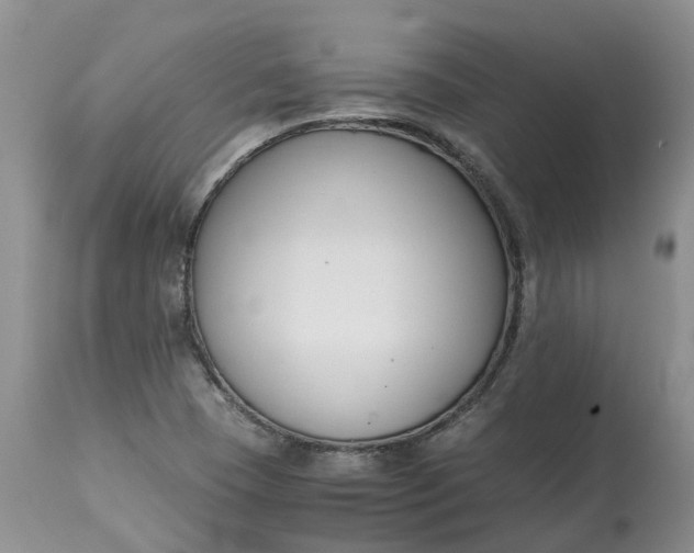 X0000115001409200911091348