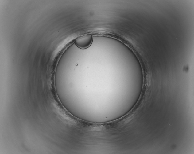 X0000115001410200911091348