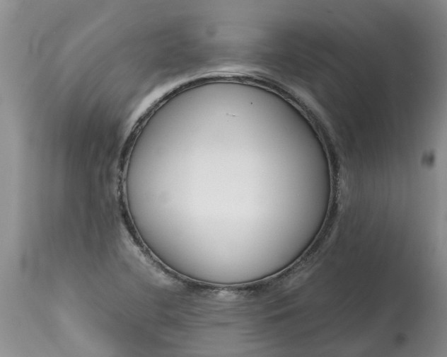 X0000115001412200911091348