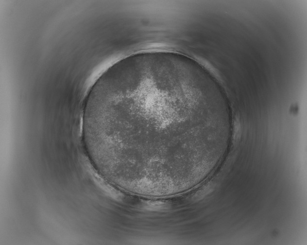 X0000115001413200911091348