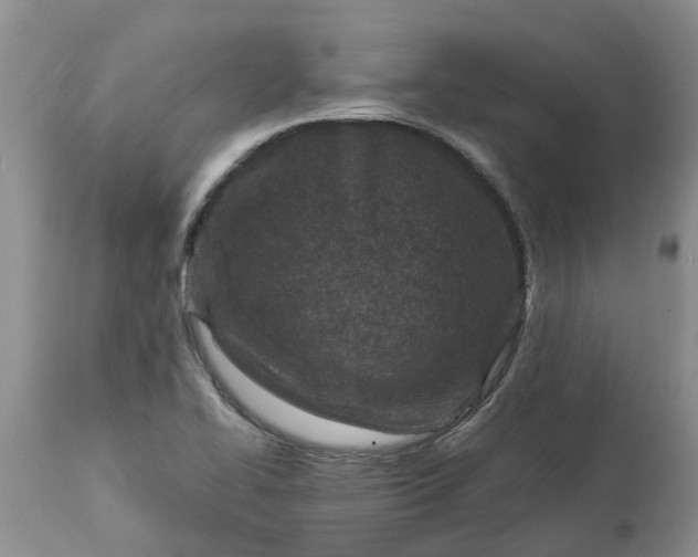 X0000115001414200911091348
