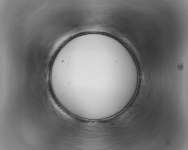 X0000115001416200911091348