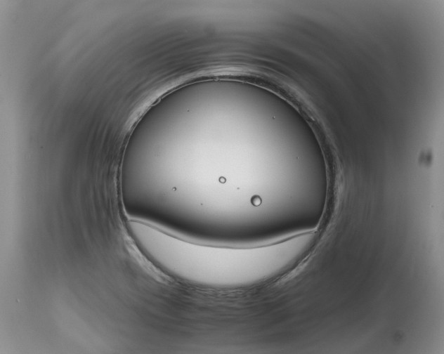 X0000115001417200911091348