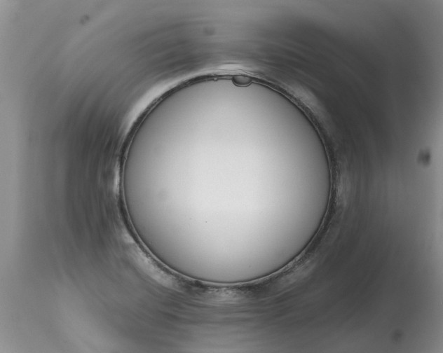 X0000115001420200911091348